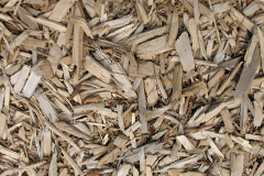 biomass boilers Bache